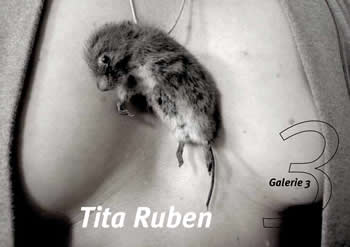 Sujet Einladung Tita Ruben Galerie3