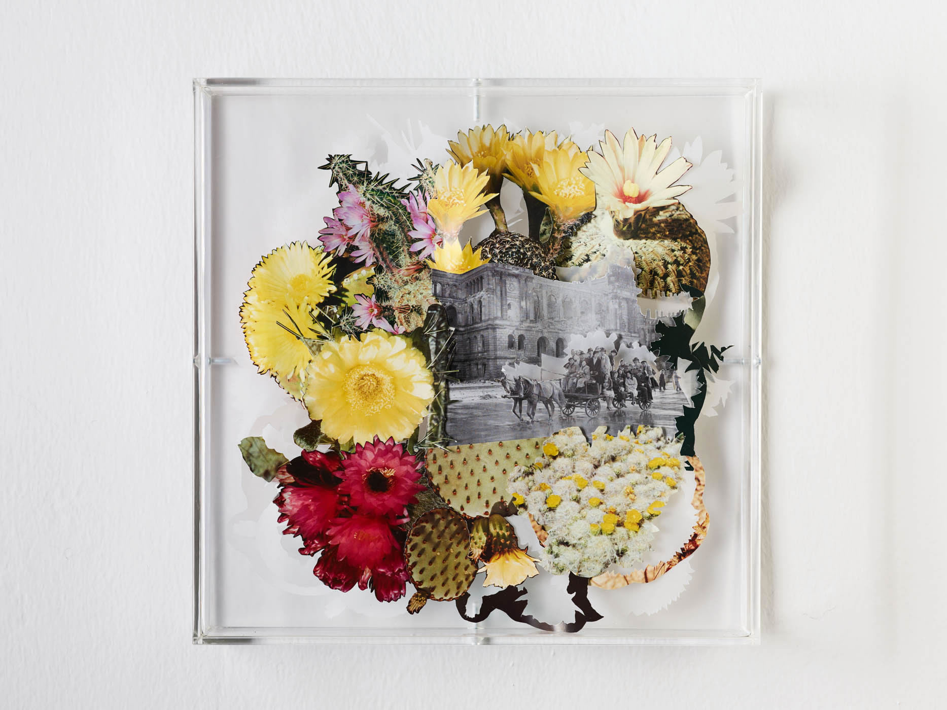 Karen Elliot | Berlin Blooming | 2017 | 30x30cm | Collage in Acrylglaskasten | Foto Johannes Puch